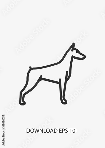 Doberman dog icon, Vector