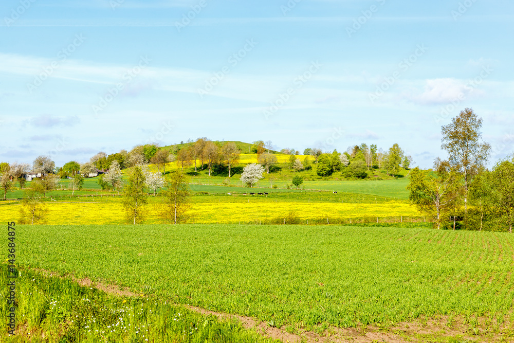 Landscaped countryside with fields and a hill
