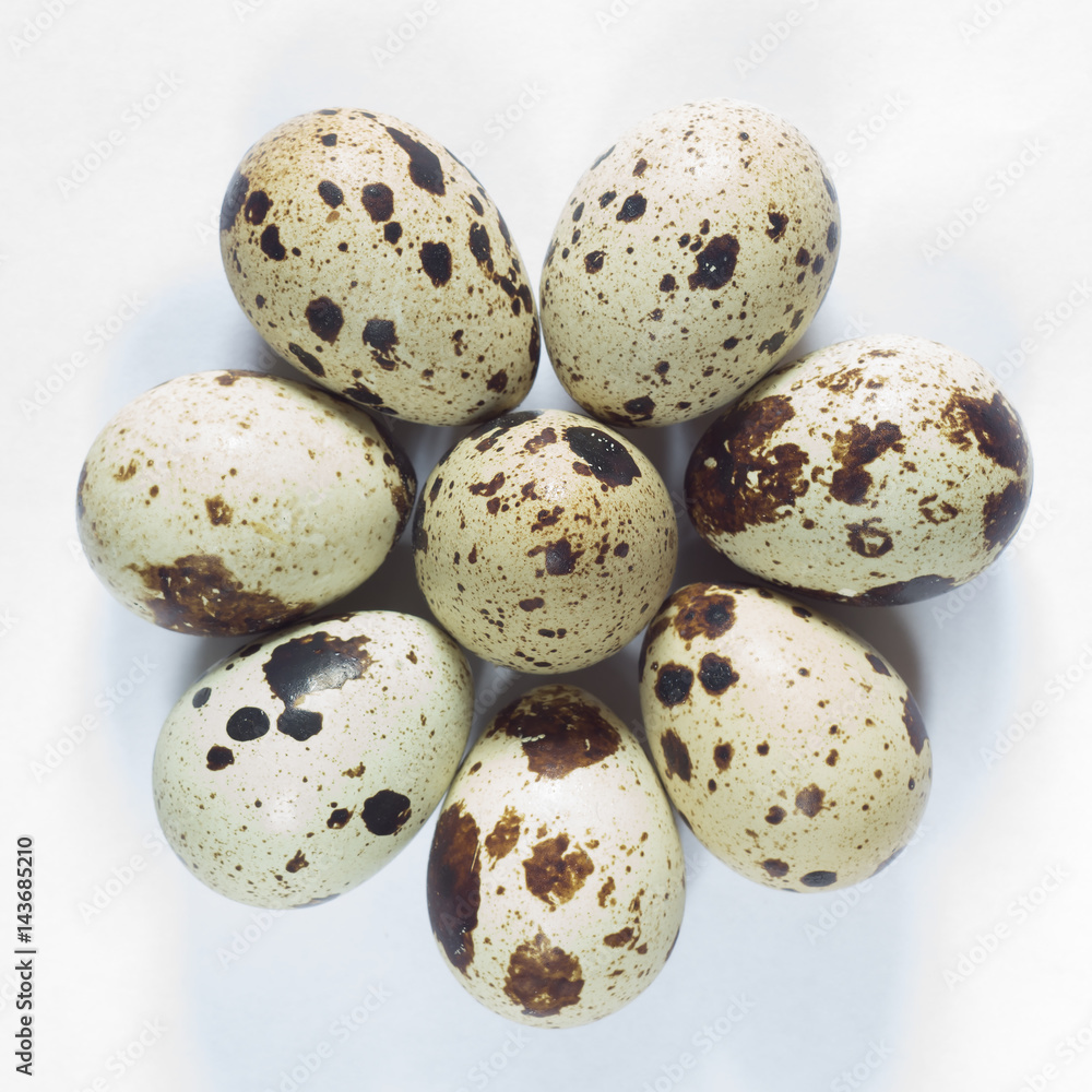 Quail eggs Quail eggs