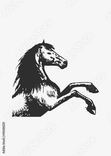 Horse sketch icon  Vector