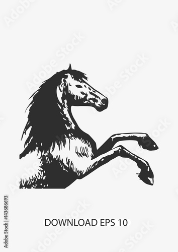 Horse sketch icon  Vector