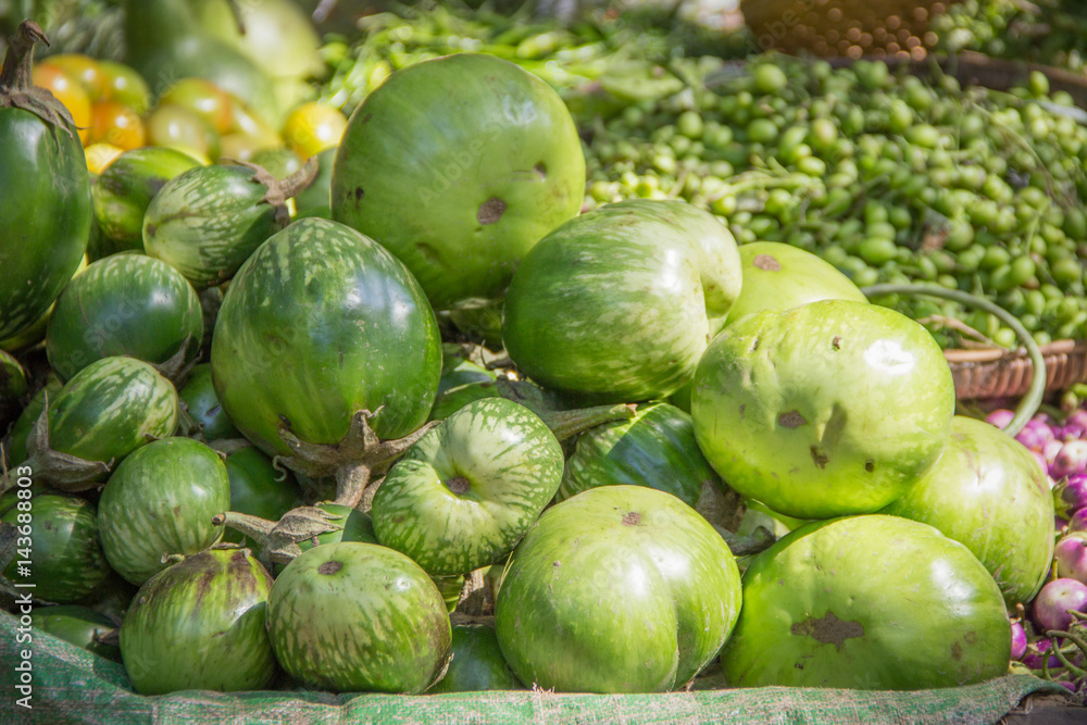 Giant green eggplant in the market Giant green eggplant in the market