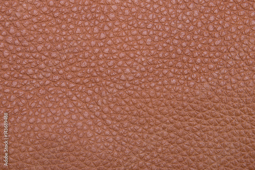 Brown skin close-up