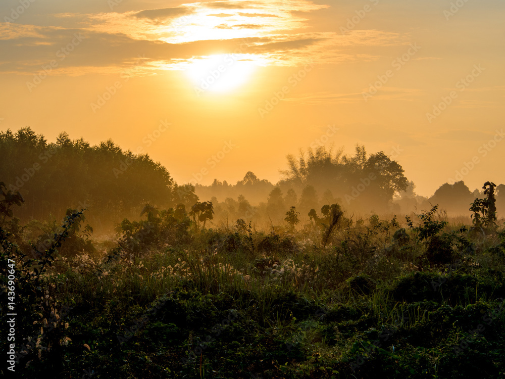 Gold light of sunrise at the countryside Gold light of sunrise at the countryside