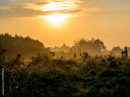 Gold light of sunrise at the countryside