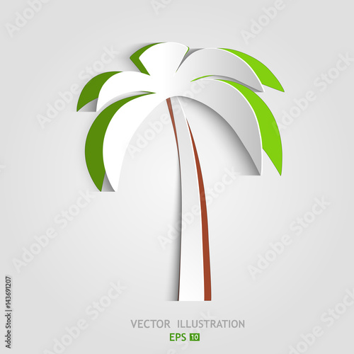 Paper Palm