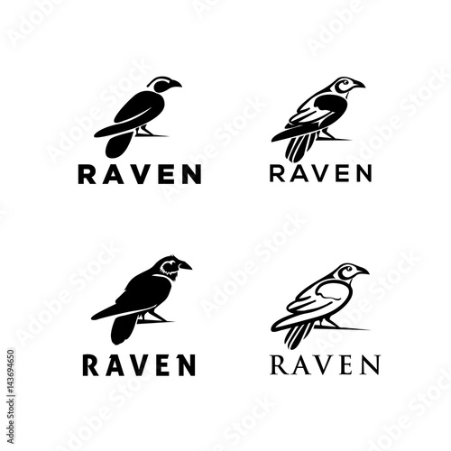 raven set logo with some beautiful art