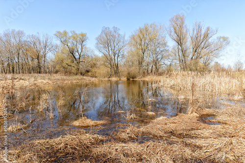 Wetland, lake and woods at the beginning of the spring. The soil is covered by hay
