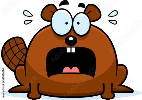 Terrified Little Beaver