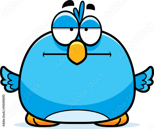 Bored Little Bluebird