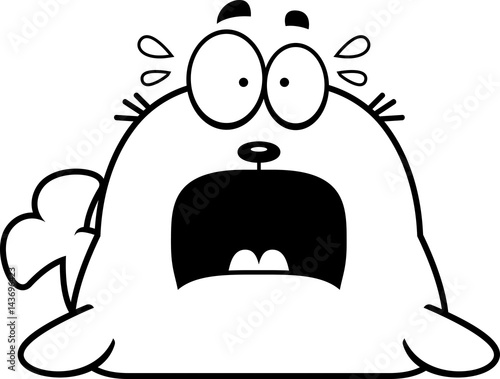 Scared Cartoon Seal