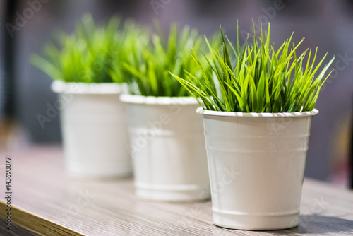 Decorative beautiful green grass in the bucket under the light standing on the wooden table