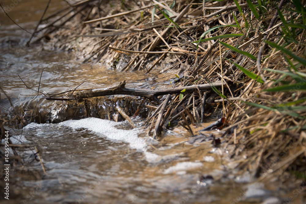 Stream in the spring forest / close up