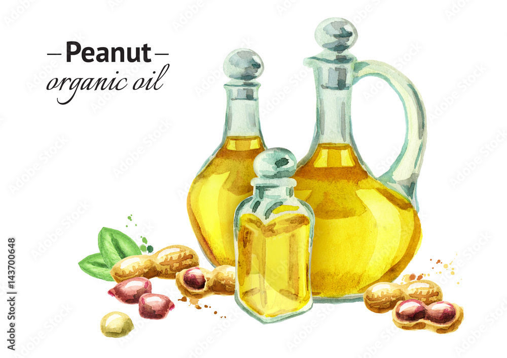 Hand drawn watercolor composition with bottles of peanut oil and nuts