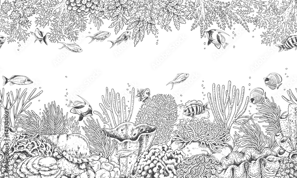 Obraz premium Wzór rafy koralowej i pływających ryb