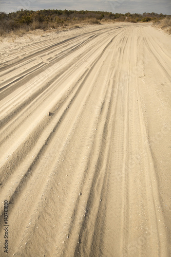 Off-road vehicle trail in the sand on Assateague Island, Maryland.