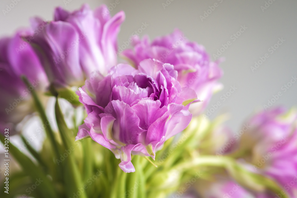 Flowers Flowers