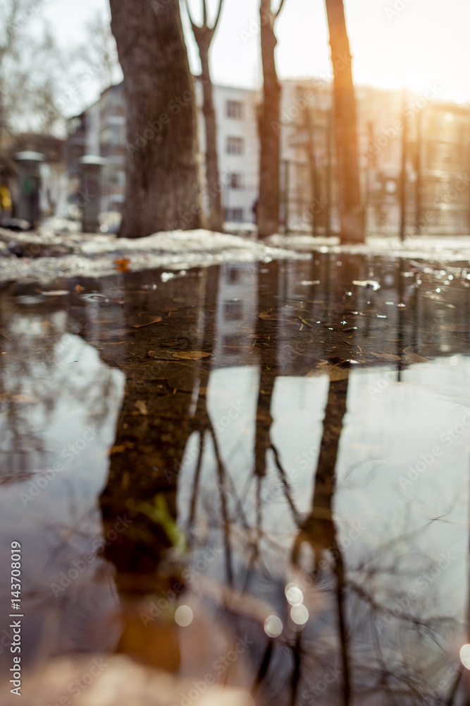 Spring park. Reflections in the puddles Spring park. Reflections in the puddles