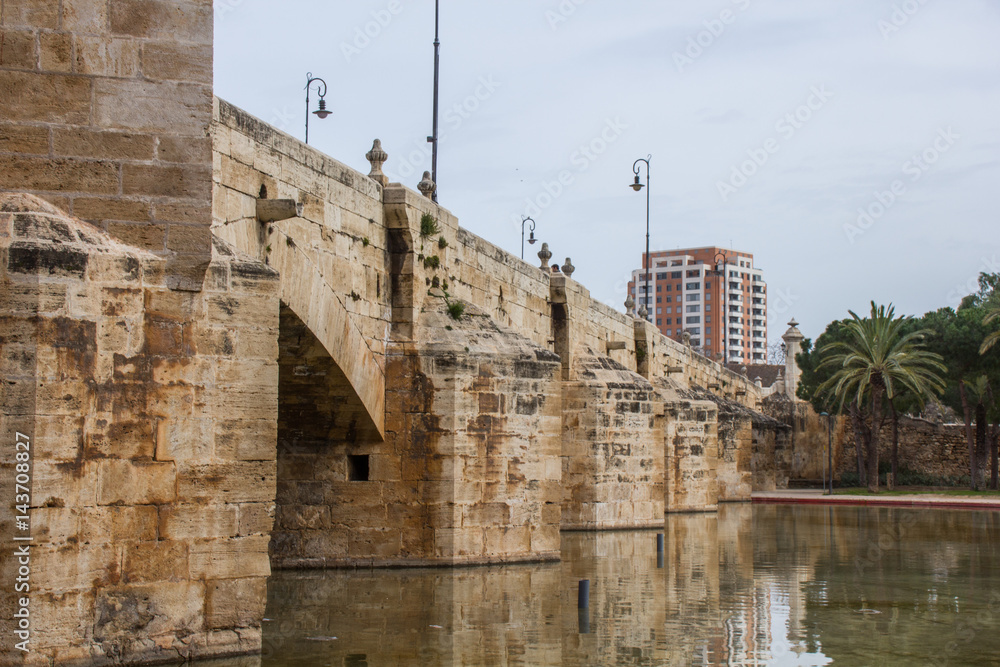 Pont del Real, old bridge on Turia river, Valencia, Spain