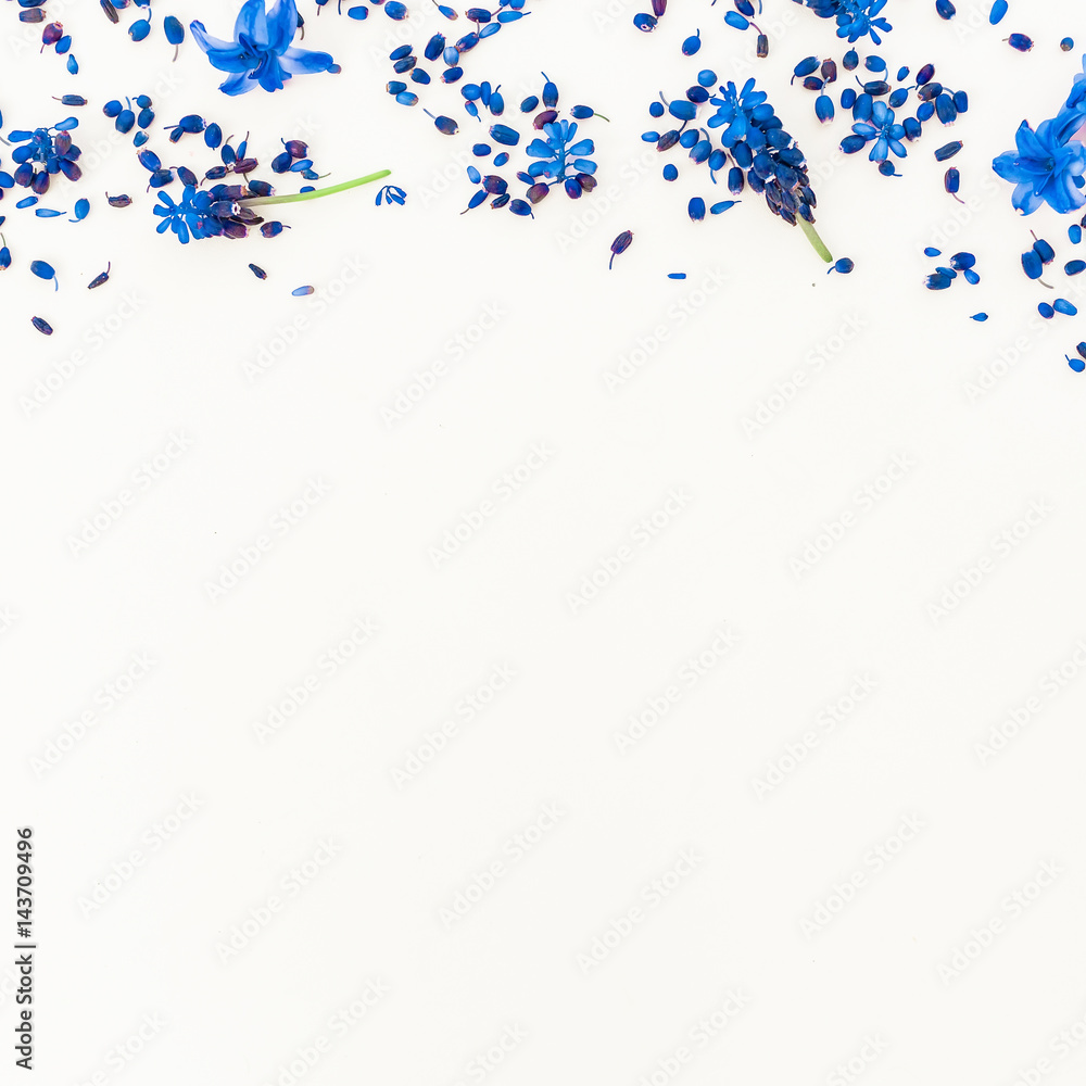 Blue frame of muscari and hyacinth petals on white background. Flat lay, top view. Blue frame of muscari and hyacinth petals on white background. Flat lay, top view.