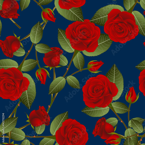 Beautiful Red Rose - Rosa on Indigo Blue Background. Valentine Day. Vector Illustration