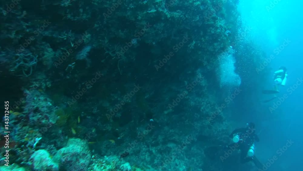 Male scuba diverы swims next a coral reef, Indian Ocean, Maldives
Male scuba diverы swims next a coral reef, Indian Ocean, Maldives