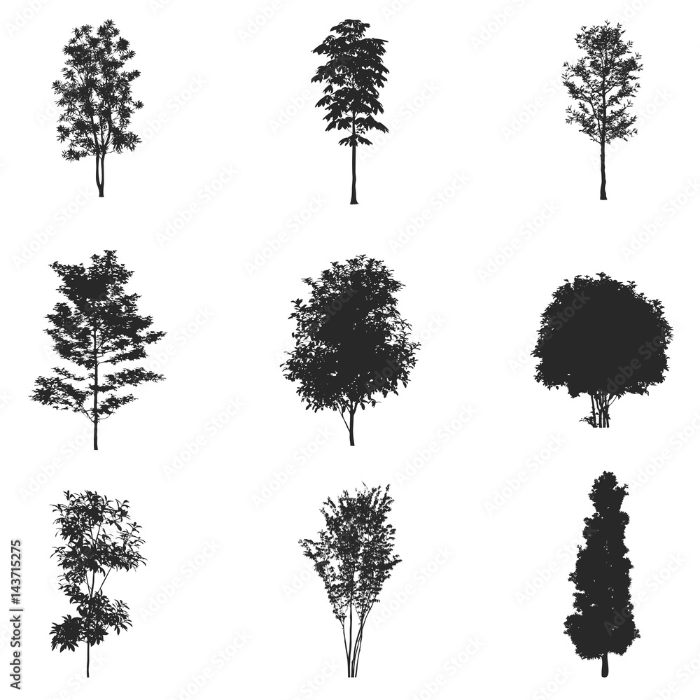 Naklejka premium Vector set of tree silhouettes, isolated on white background.