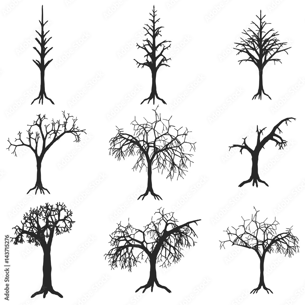 Dead trees. Set of vector silhouettes isolated on white background. Old