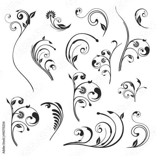 Vector floral. Set of vector silhouettes isolated on white background.