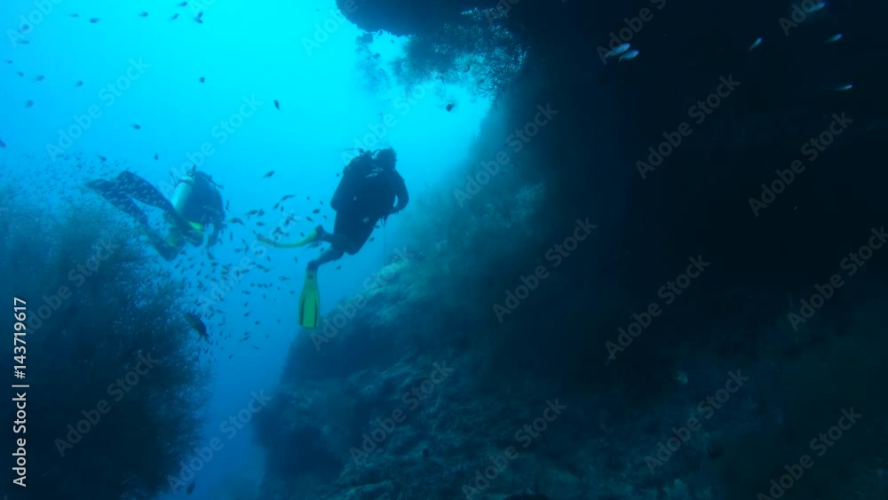 custom made wallpaper toronto digitalScubadivers look at school of fish Pigmy Sweeper (Pempherichthys guentheri) with a beautiful coral reef, Indian Ocean, Maldives
