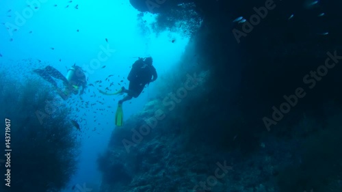 Wallpaper Mural Scubadivers look at school of fish Pigmy Sweeper (Pempherichthys guentheri) with a beautiful coral reef, Indian Ocean, Maldives
 Torontodigital.ca
