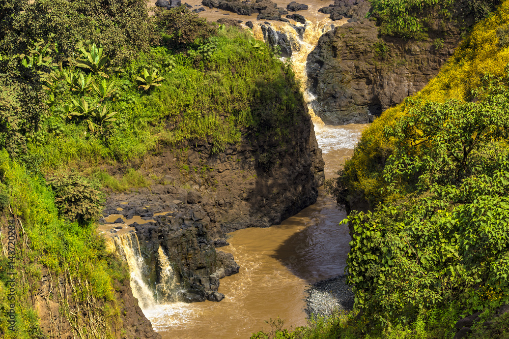 Ethiopia. Blue Nile Falls (Tis Abay in Amharic) on the Blue Nile river