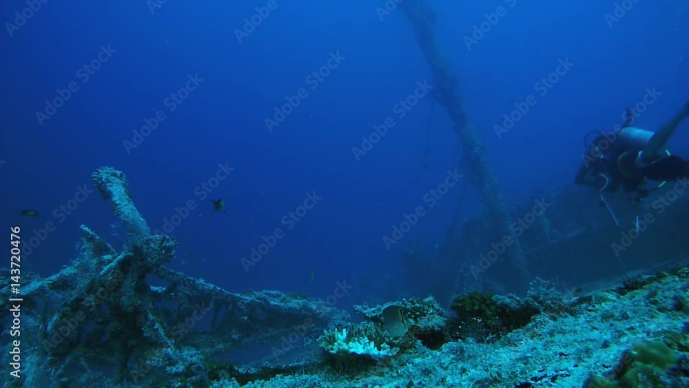 Scuba divers and school of fish is floating on the wreck - Indian Ocean, Maldives
Scuba divers and school of fish is floating on the wreck - Indian Ocean, Maldives