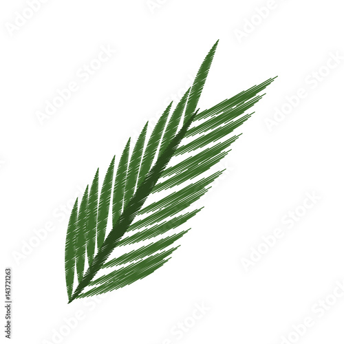 green leaf icon image vector illustration design 