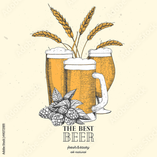 Beer design template. Menu label with barley, hops and beer glasses. Brewery concept. Hand-drawn vector illustration