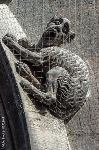 Gothic art. Stone Gargoyle sculpture on fasade of Town hall building in Munich,Bavaria,Germany