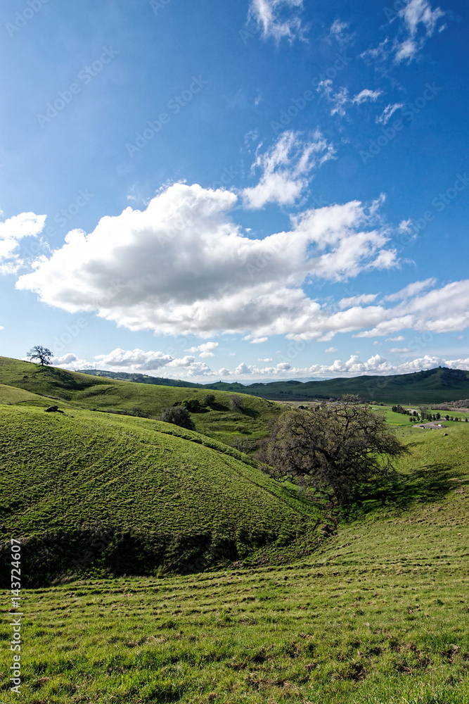 Panoramic view of the Lagoon Valley Park in Vacaville, California, USA, featuring the chaparral in the winter with green grass