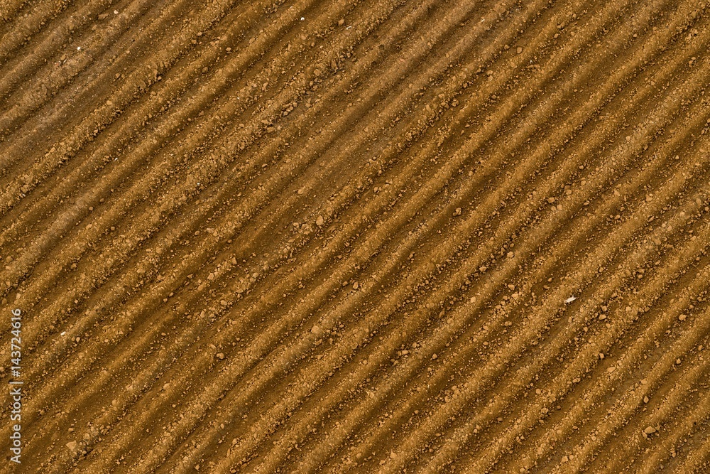 Spring field Spring field