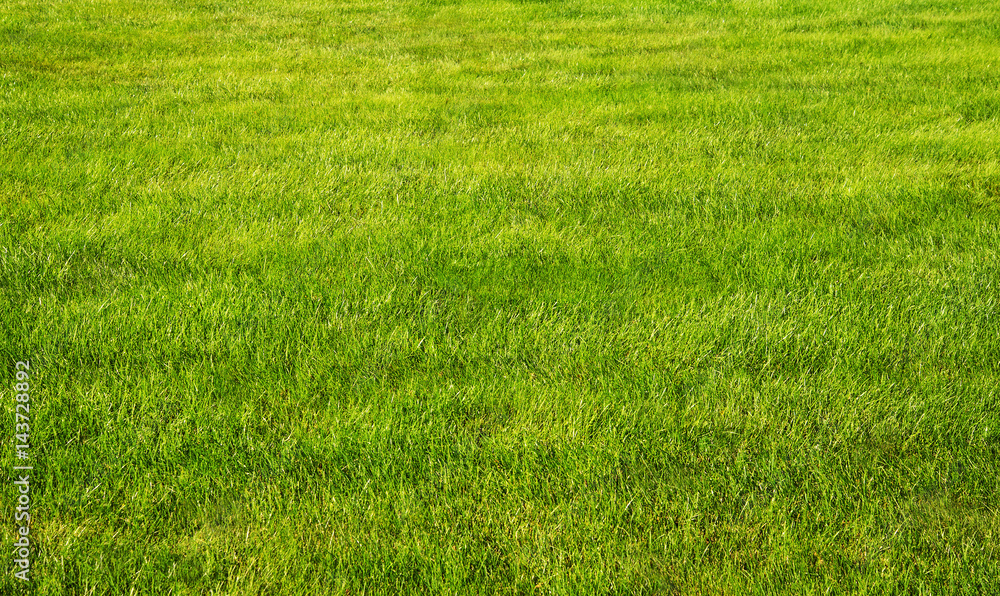 Spring Summer Lawncare Spring Summer Lawncare