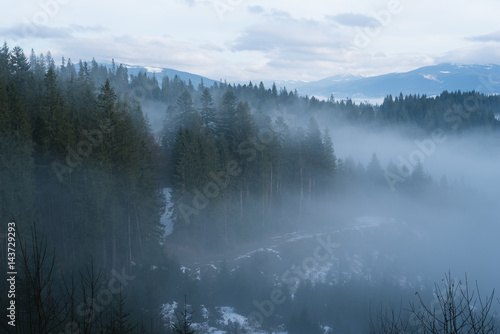 Mountain landscape in winter. Fir forest and fog. Cloudy day. Carpathian Ukraine, Europe © Oleksandr Kotenko