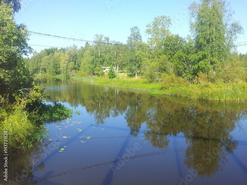 Bäume und See