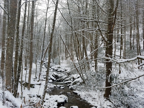 Snowy stream
