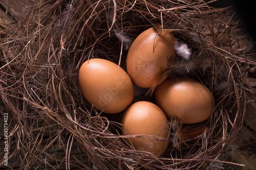 Chicken eggs in the straw in the morning light. photo