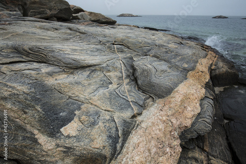 Pink granite intrusion in gray gneiss at Harkness Park, Connecticut. photo