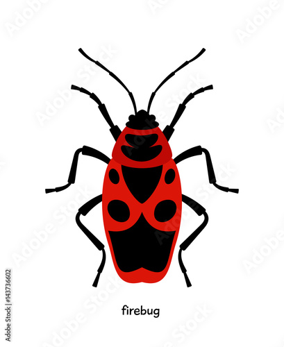 Firebug - bug with bright color, eating plant juice