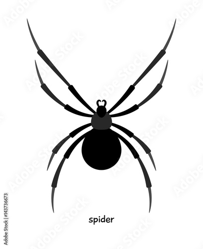 Spider  - small creature that can be quite dangerous