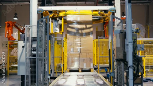 palletizing robot wraps stretch