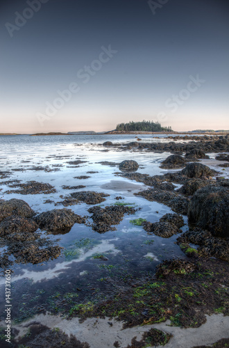 Maine Tide Pools