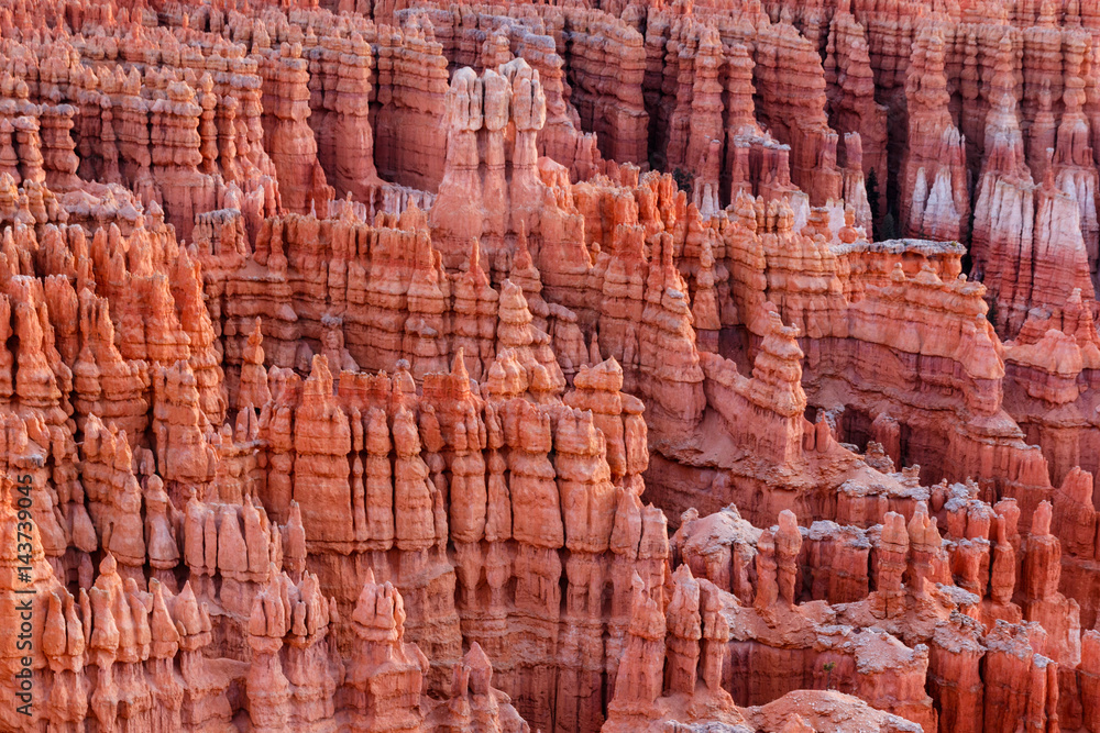 Hoodoos at sunrise at Bryce Canyon National Park amphitheater in Utah. The morning sun reveals the vivid purple, orange and pink hues in the rock. This is part of the 