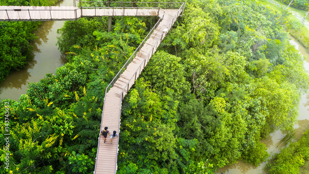 Fototapeta premium people of man and girl in top view walk at wooden sky walkway in forest with trees and river at the morning sunrise.(aerial forest view)